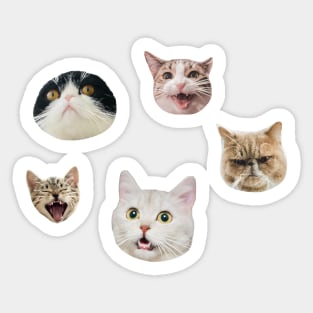 Funny cat faces sticker pack Sticker